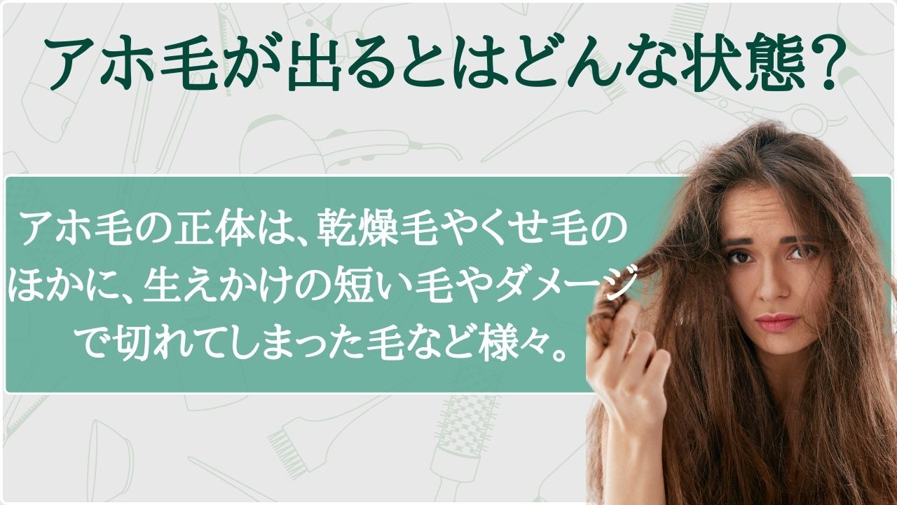 アホ毛(うき毛)はなぜ出てくる?直し方や予防方法を現役美容師が解説 | 艶髪キレイLabo