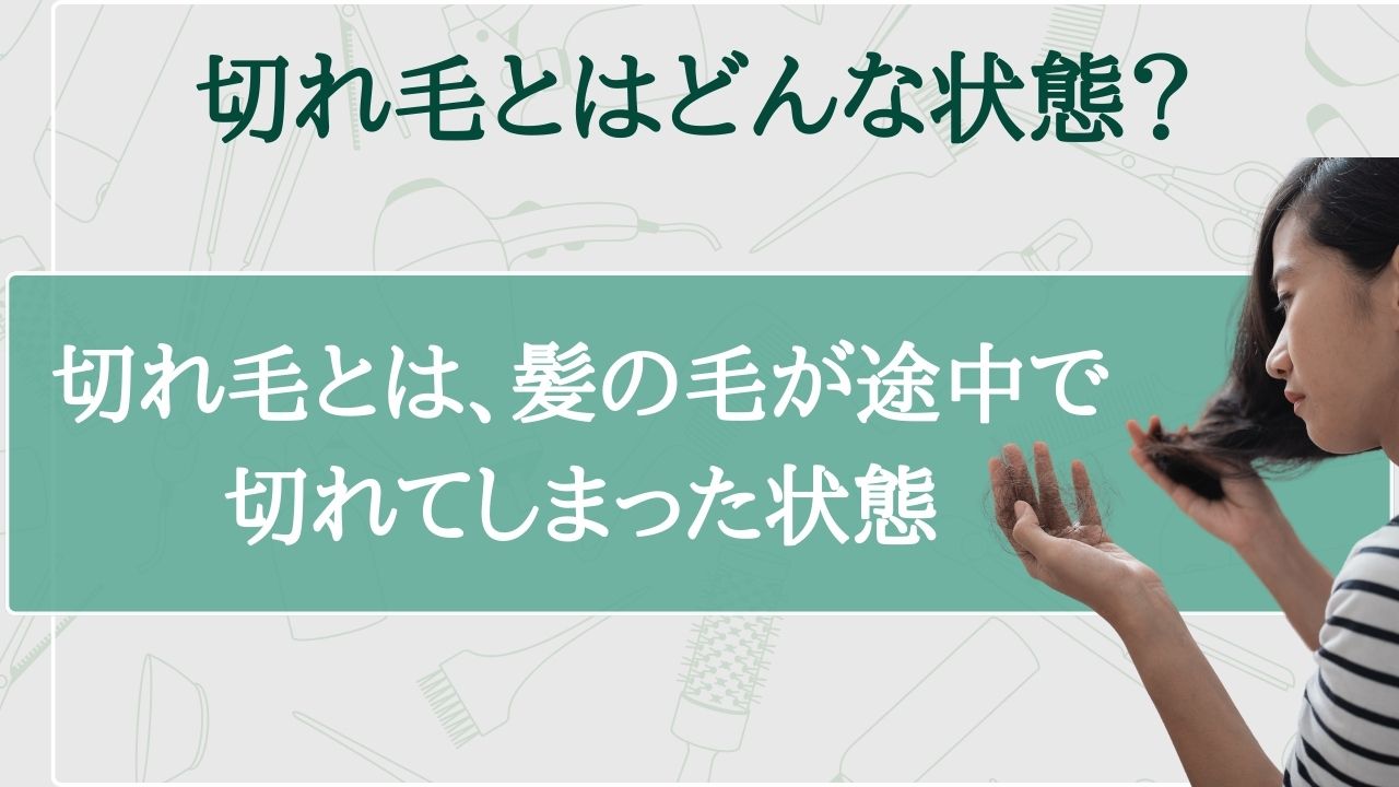 切れ毛とはどんな状態？